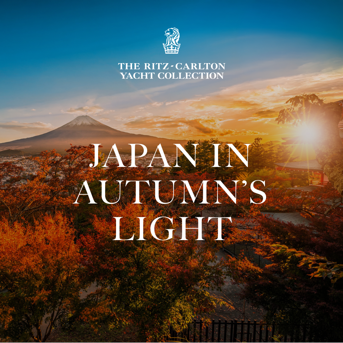 Japan in Autumn's Light