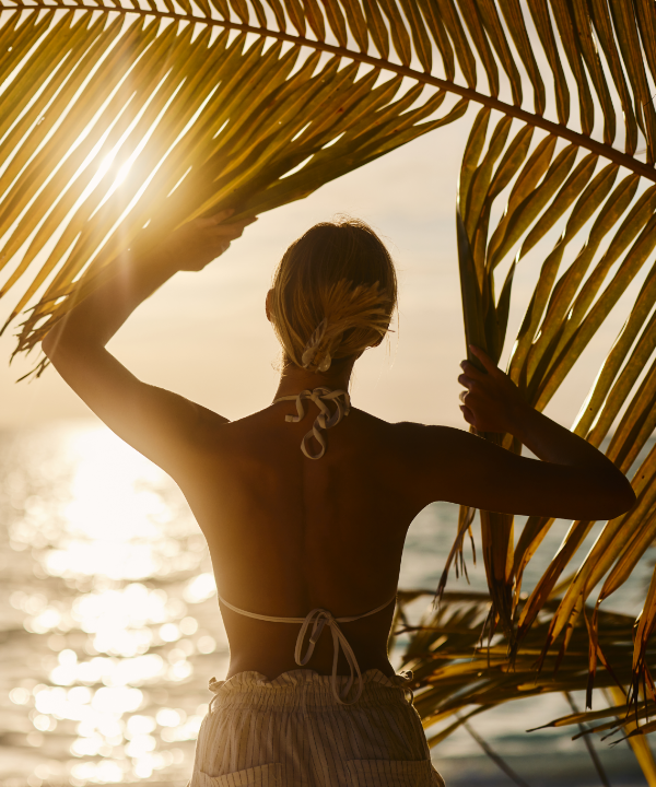 The Caribbean