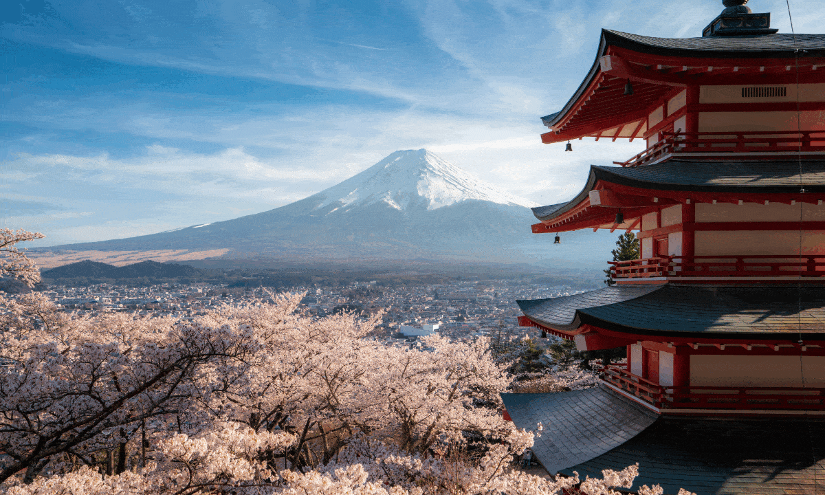 Tokyo Roundtrip Voyage