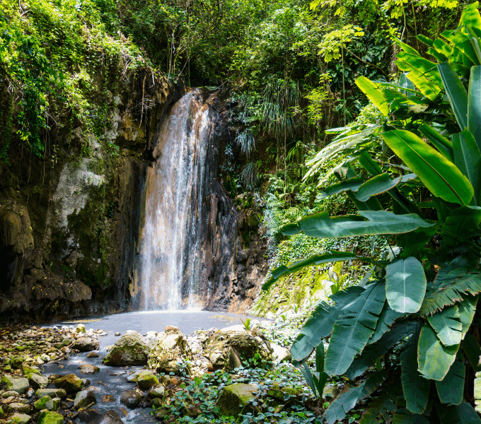 Bridgetown Roundtrip Voyage