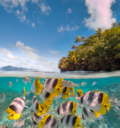 Matira Beach, Bora Bora
