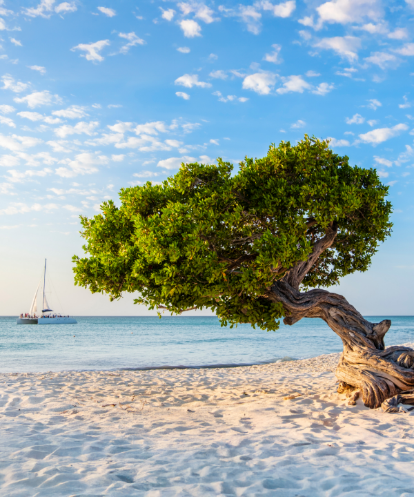 Aruba