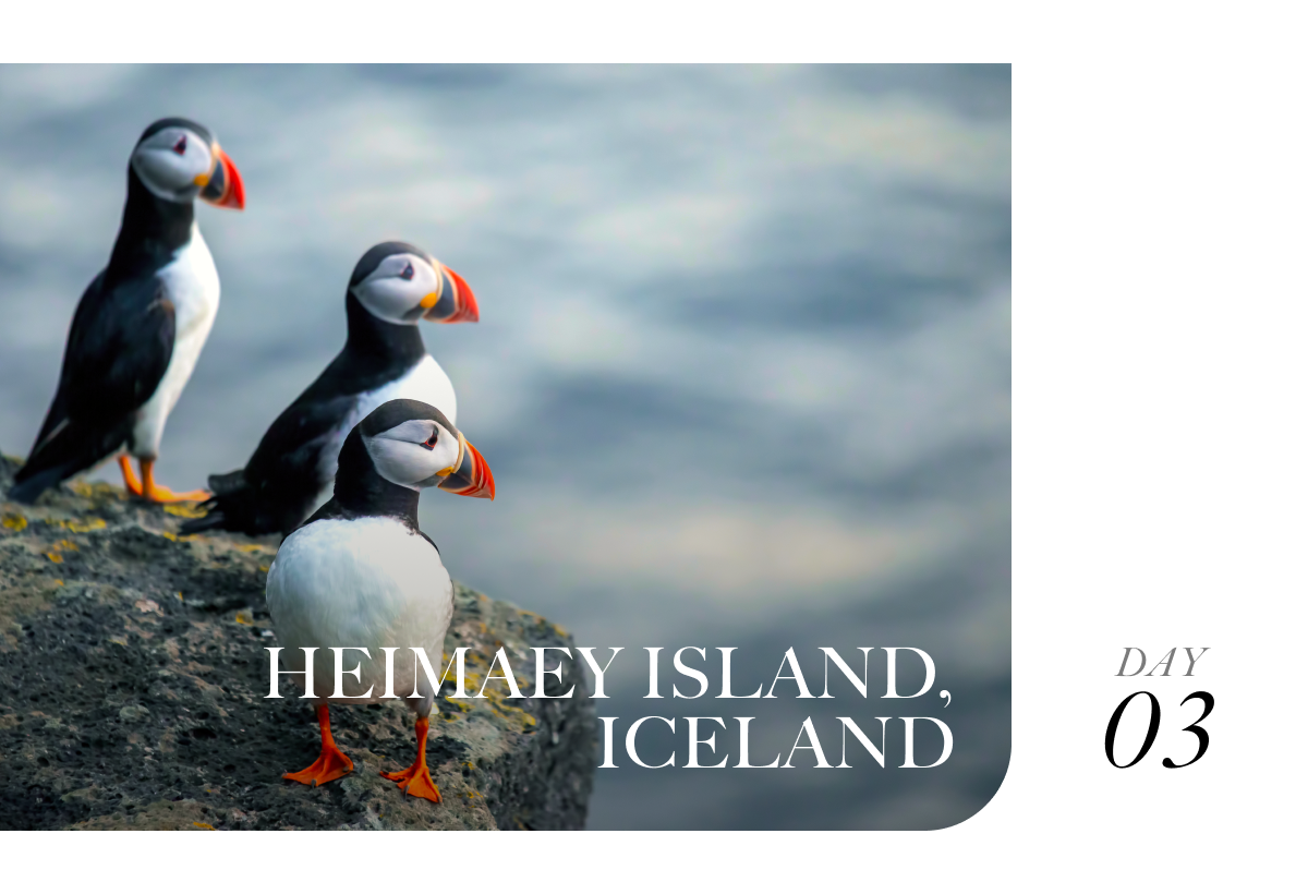 Heimaey Island, Iceland