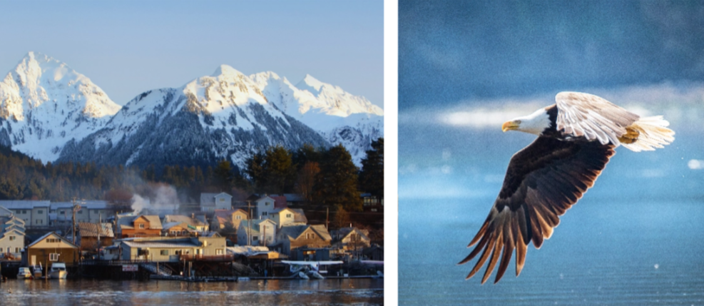Sitka Sitka