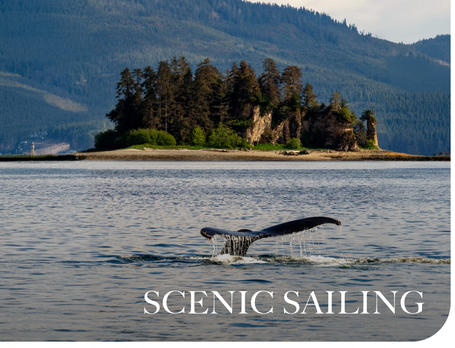 Scenic Sailing