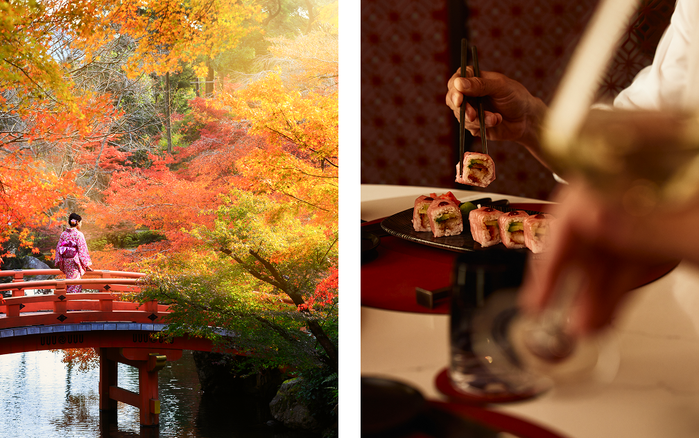 Culinary Capitals & Scenic Coasts