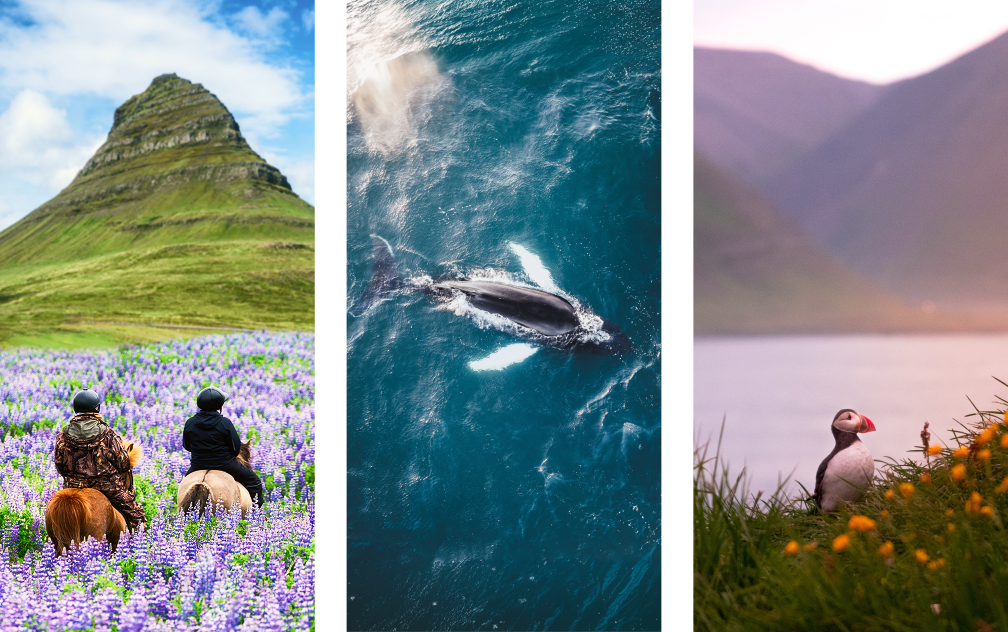 Immerse in Iceland's Nature