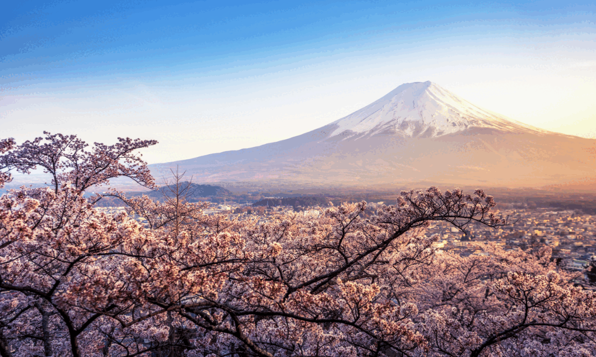 Tokyo Roundtrip
